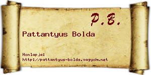 Pattantyus Bolda névjegykártya